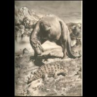 Gorgosaurus and Scolosaurus by Zdenek Burian