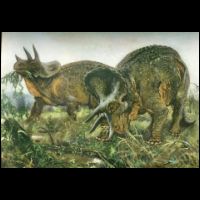 Triceratops by Zdenek Burian