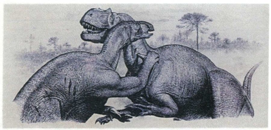 Iguanodon fight with carnivore dinosaur