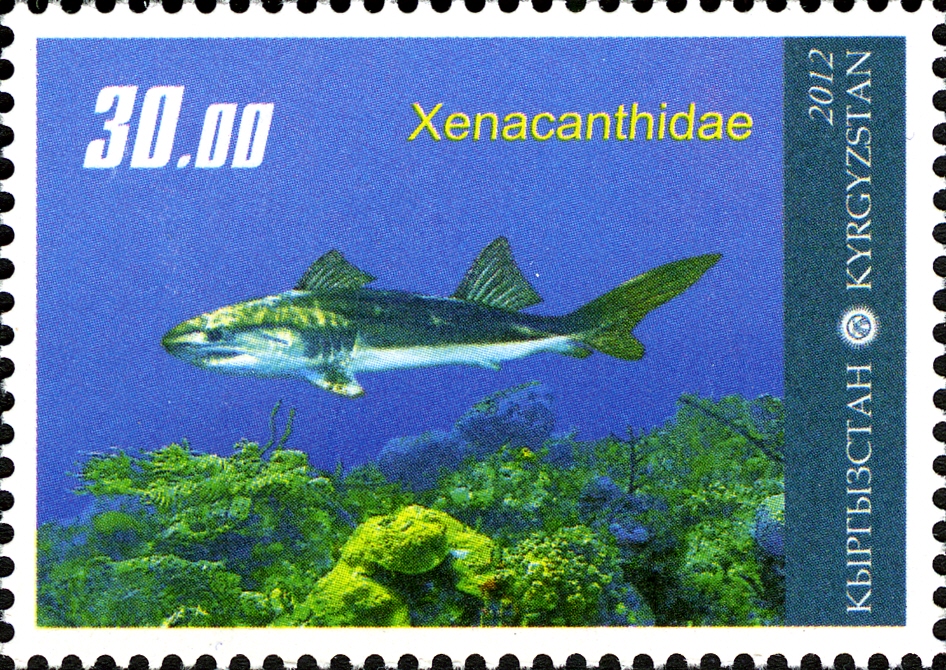 Prehistoric shark Xenacanthidae on stamp of Kyrgyzstan 2012
