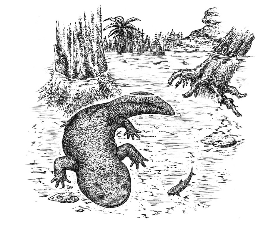 Kokartus honorarius on stamp of Kyrgyzstan 2025 Kokartus honorarius on stamp of Kyrgyzstan 2025