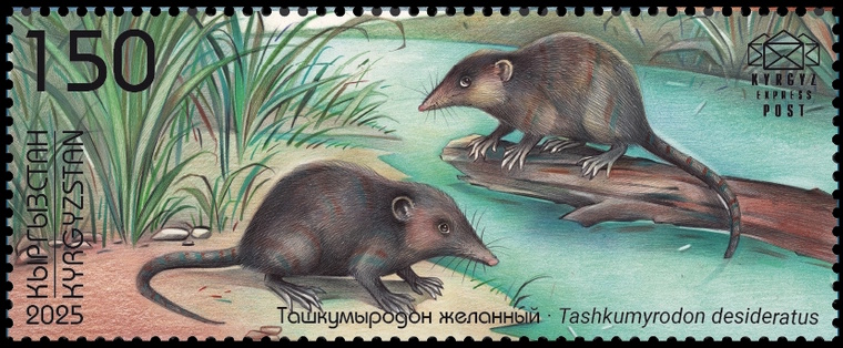 Tashkumyrodon desideratus on stamp of Kyrgyzstan 2025 Tashkumyrodon desideratus on stamp of Kyrgyzstan 2025