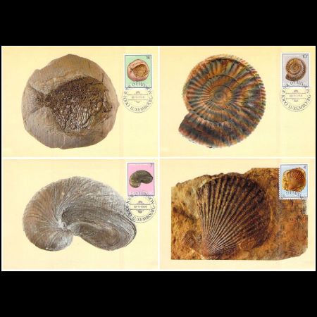 Fossils on Maxi cards of Luxembourg 1984
