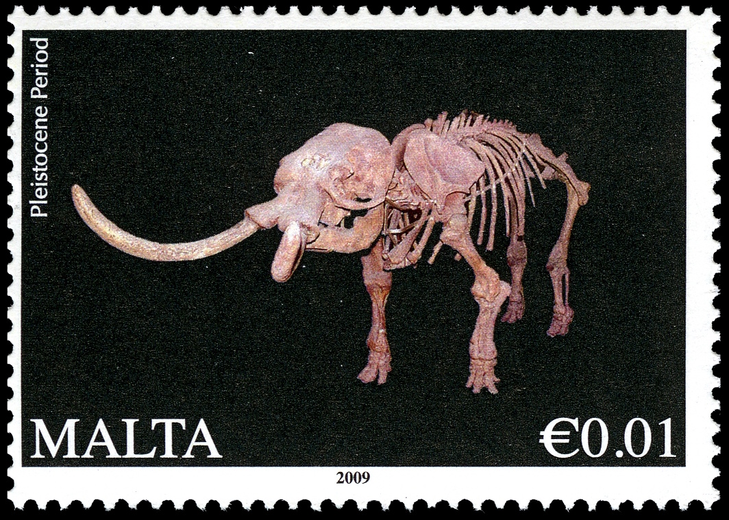 Dwarf elephant, Palaeoloxodon falconeri, on stamp of Malta 2009