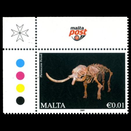 fossil of Elephas falconeri - dwarf elephant on stamp of Malta 2015