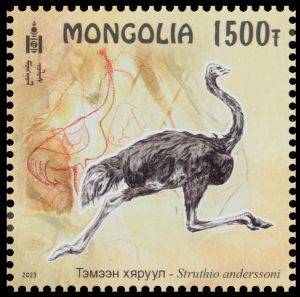 The East Asian ostrich, Struthio anderssoni, on stamp of Mongolia 2023