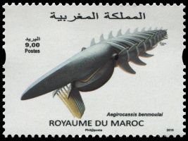 Aegirocassis on stamp of Morocco 2015