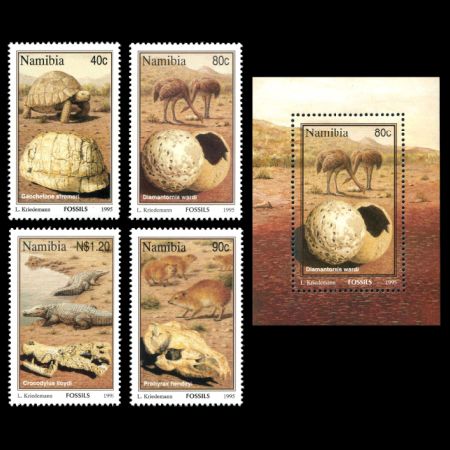 Fossils on stamps of Namibia 1995