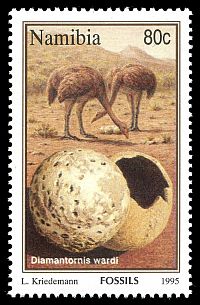 Diamantornis wardi on stamp of Namibia 1995