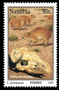 Prohyrax hendeyi on stamp of Namibia 1995