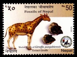 Giraffa punjabiensis, extinct Giraffe on stamp of Nepal 2013