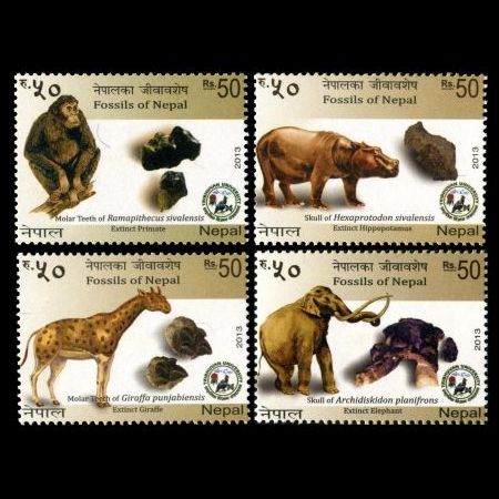 stamps of prehistoric animals and their fossils of Nepal 2013