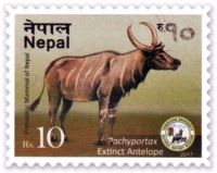 Pachyportax on prehistoric mammal stamp of Nepal 2017