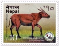 Hemibos Acuticornis on prehistoric mammal stamp of Nepal 2017