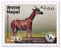 Giraffokeryx on prehistoric mammal stamp of Nepal 2017