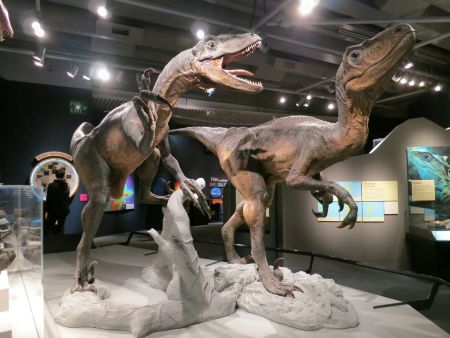 Dinosaurs reconstruction at New Zealand's National Museum (Te Papa)