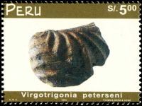 Fossilized mollusk Virgotrigonia peterseni on stamp of Peru 1999