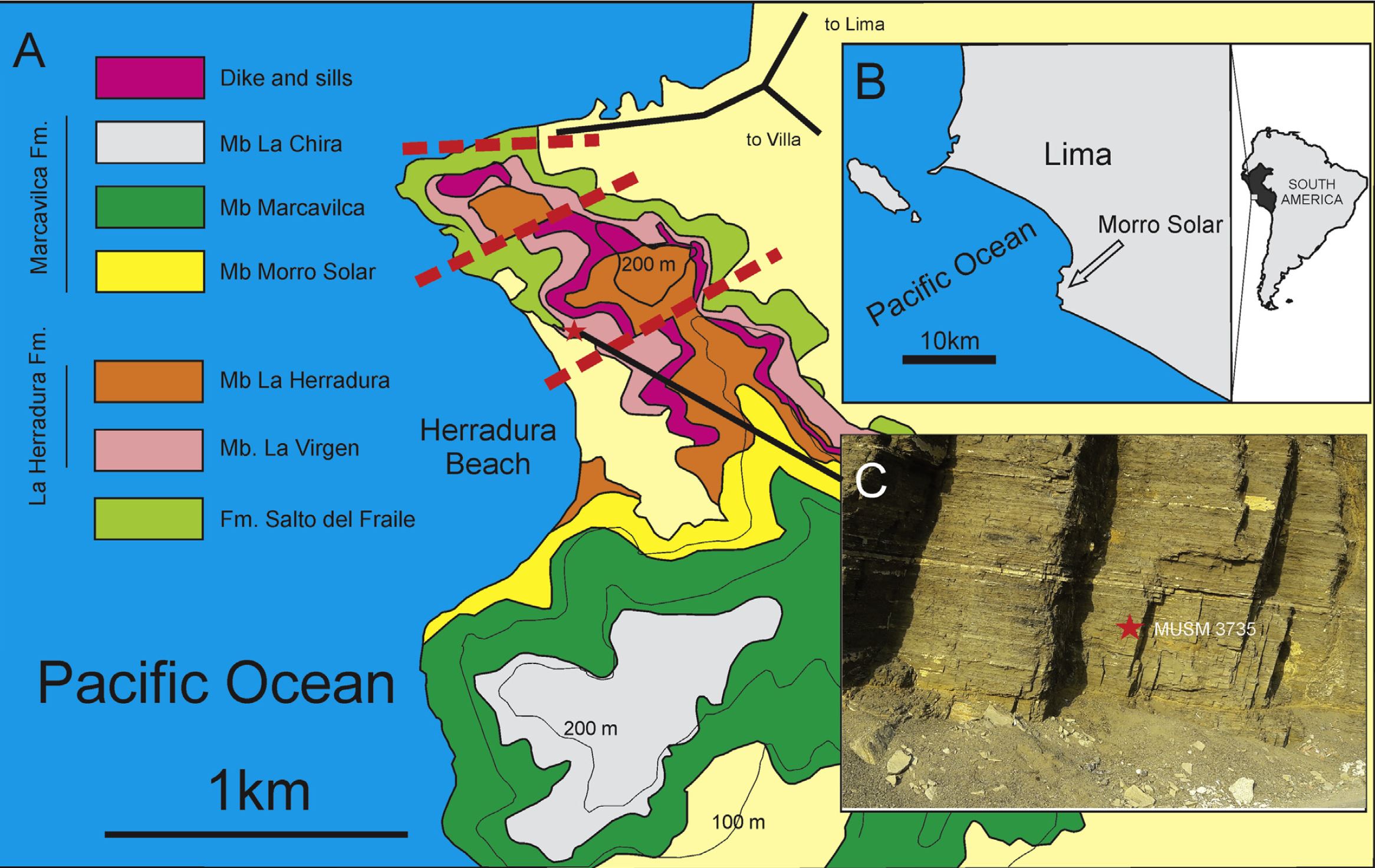 The map and the fossil found location of the Plesiosaur