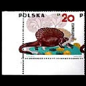 Stegosaurus on stamp of Poland 1965 with production error
