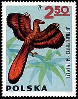 Archaeopteryx on stamp of Poland 1966