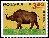 Broutotherium on stamp of Poland 1966