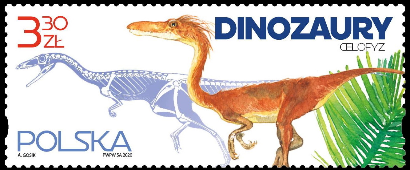 Coelophysis  on stamp of Poland