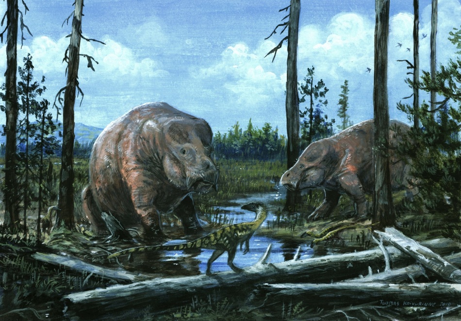 Reconstruction of Lisowicia
