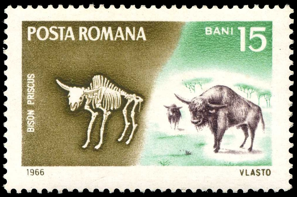 The Bison on stamp of Romania 1966