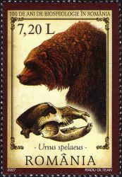Cave bear Ursus spelaeus on stamp of Romania 2007
