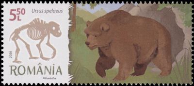 Ursus spelaeus on stamp of Romania 2026 Ursus spelaeus on stamp of Romania 2026