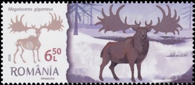 Megaloceros giganteus on stamp of Romania 2026 Megaloceros giganteus on stamp of Romania 2026