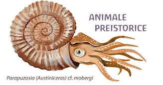 Ammonite on a cachet of FDC Romania 2026 Ammonite on a cachet of FDC Romania 2026