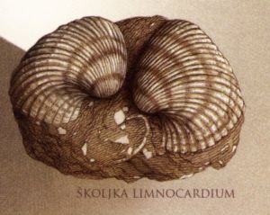 shellfish limnocardium on FDC of Serbia 2014