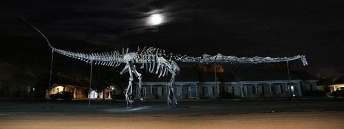 The Prince sauropod Dinosaur from Wyoming USA in Singapore
