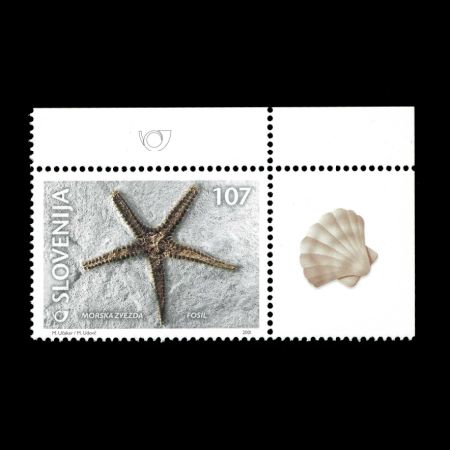 Starfish fossil on stamp of Slovenia 2001