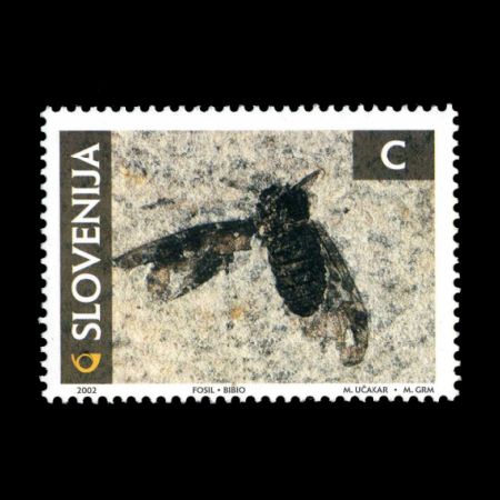 Fossil Hairfly on stamp of Slovenia 2002