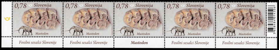 Fossil and reconstruction of Mastodon