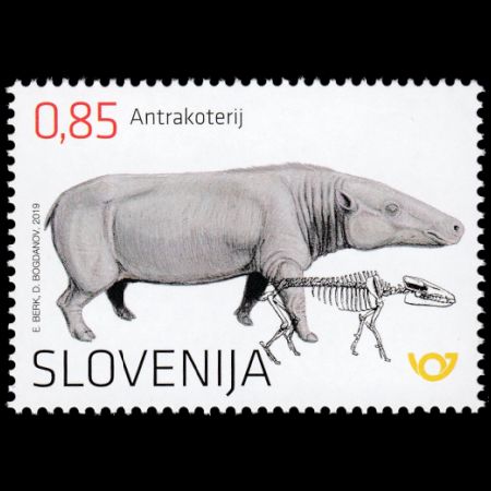 Fossil and reconstruction of Anthracotherium on stamp of Slovenia 2019