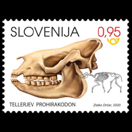 Fossil Prohyracodon telleri on stamp of Slovenia 2020