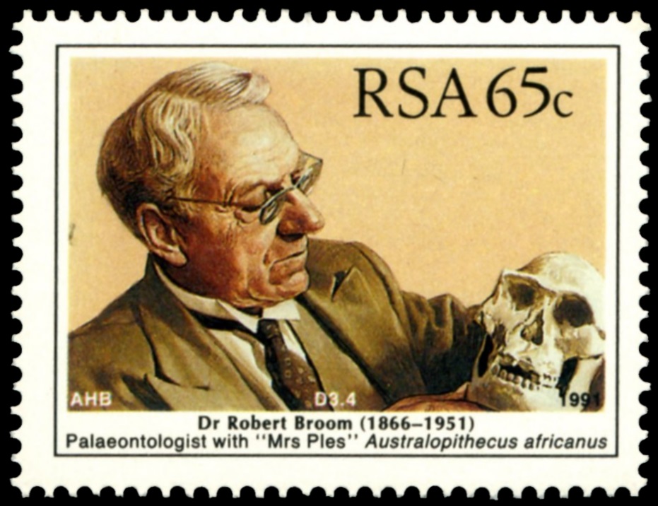 Dr Robert Broom on stamp of South Africa 1991