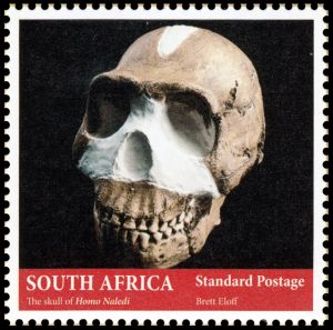 Skull of Homo naledi on stamp of South Africa 2017