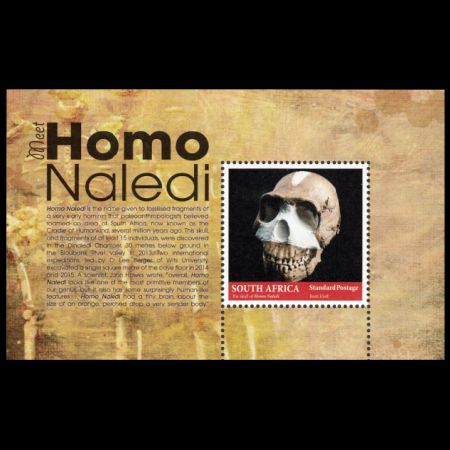 Homo naledi on stamp of South Africa 2017