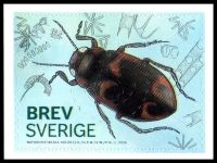 Hydroporus figuratus bug on stamp of Sweden 2016