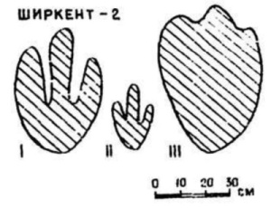 Footprints from Shirkent-2 site