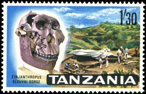 Zinjanthropus skull at Olduvai Gorge on stamp of Tanzania