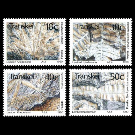 Plant fossils on stamps of Transkei 1990