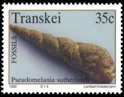 Pseudomelania sutherlandi fossil on stamp of Transkei 1992