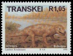 Rubidgea on stamp of Transkei 1993
