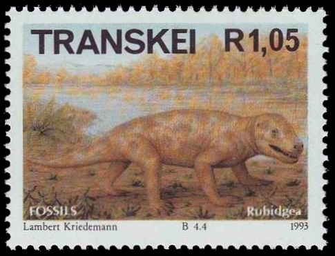 Rubidgea on stamp of Transkei