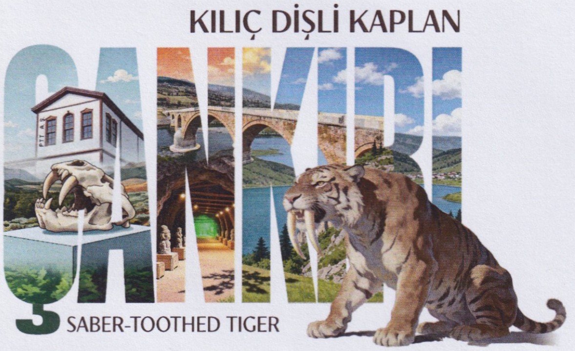 The skull of the saber-toothed tiger from the collection of the Çankırı Museum depicted on the cachet of the FDC The skull of the saber-toothed tiger from the collection of the Çankırı Museum depicted on the cachet of the FDC